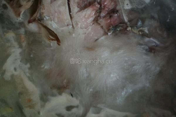 白萝卜鲫鱼汤的做法图解3
