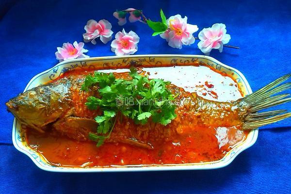 家常豆瓣鱼的做法图解9