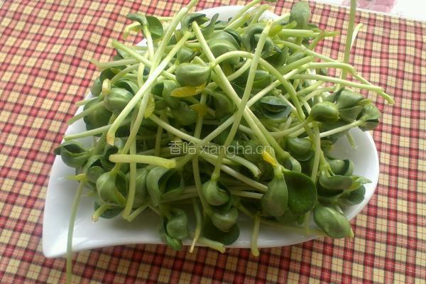 凉拌豆苗的做法图解1