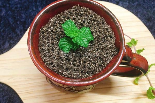 盆栽奶茶的做法图解10