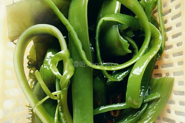 爆炒海白菜的做法图解3