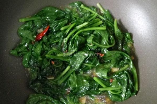 清炒木耳菜的做法图解5