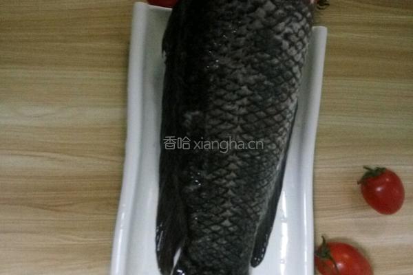 干锅鱼片的做法图解1