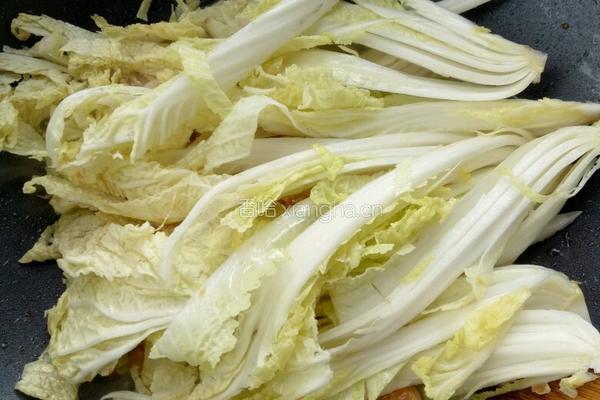 虾仁炒娃娃菜的做法图解4