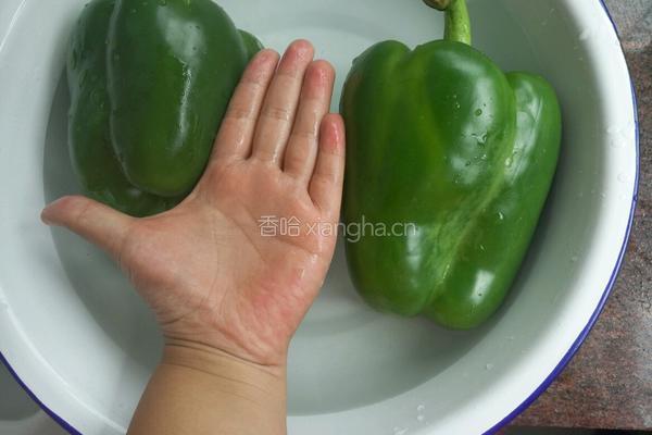 青椒馅饺子的做法图解4
