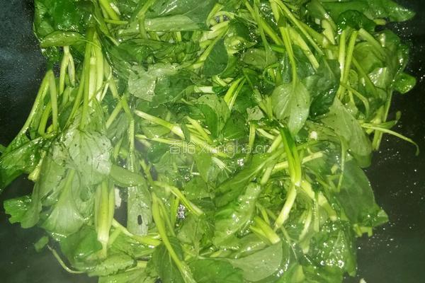 清炒油菜的做法图解3
