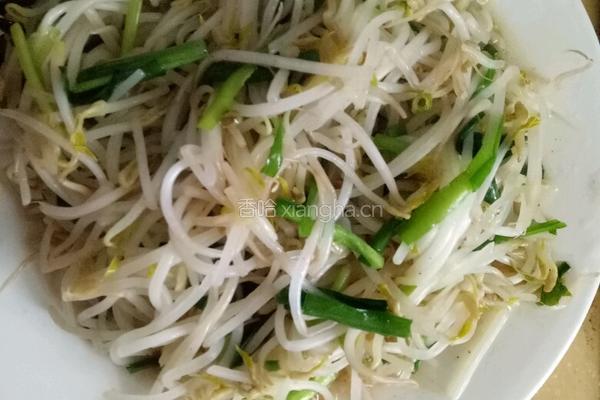 绿豆芽炒韭菜