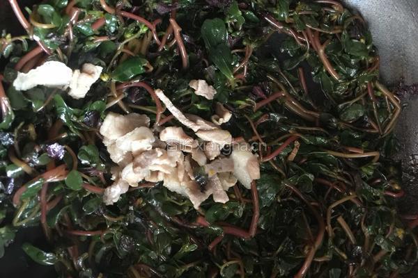 马齿苋炒肉的做法图解10