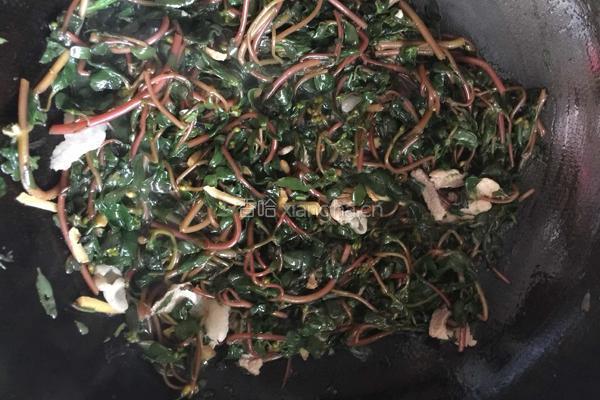 马齿苋炒肉的做法图解11