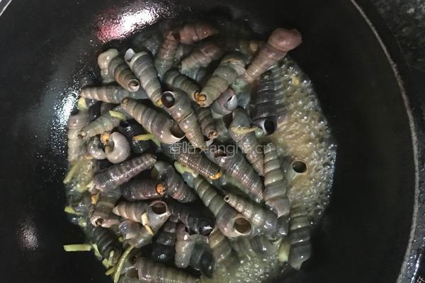 炒钉螺的做法图解7