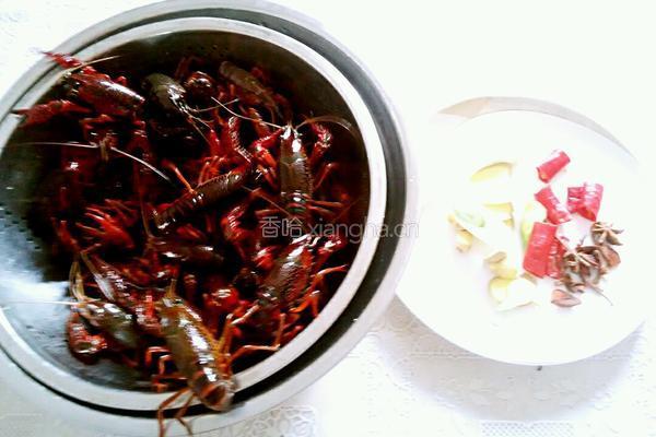 焖小龙虾的做法图解1