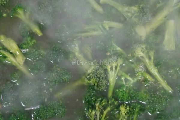 凉拌西蓝花的做法图解2
