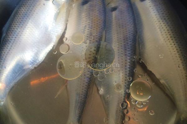 鲫鱼雪梨汤的做法图解4