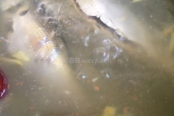 鲫鱼雪梨汤的做法图解6