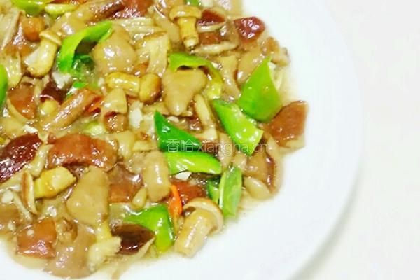 清炒松蘑的做法图解15