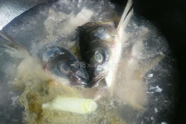 水煮豆腐鱼的做法图解11