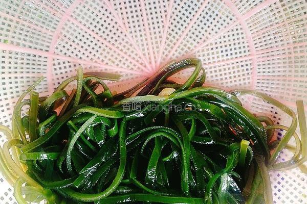 凉拌海带的做法图解3