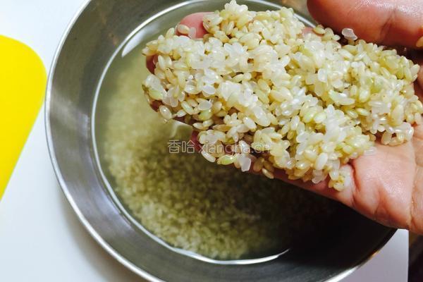 糙米饭的做法图解6
