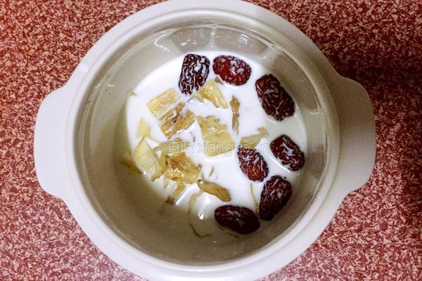 红枣牛奶炖花胶的做法图解4