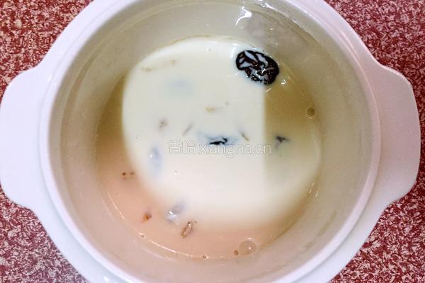 红枣牛奶炖花胶的做法图解7