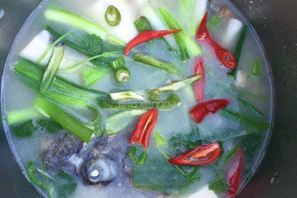 炖石斑鱼头豆腐汤的做法图解11
