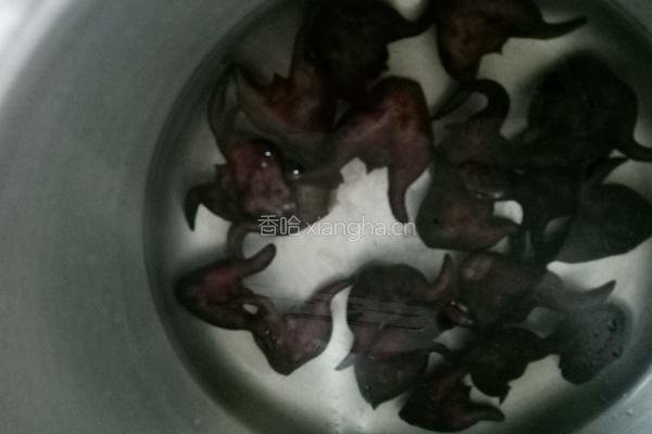 盐水菱角的做法图解4