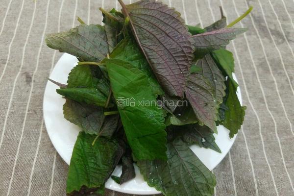 紫苏叶茄子炒豆角的做法图解2