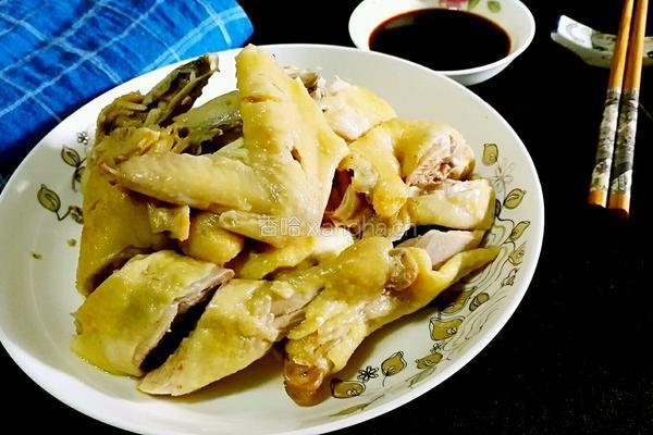白切鸡的做法图解13