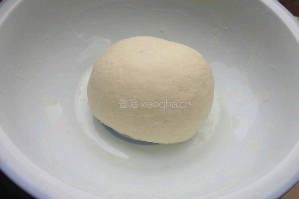 素菜包子的做法图解3