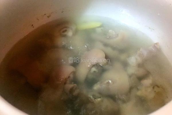 蹄花汤的做法图解4