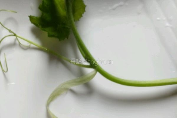 上汤南瓜苗的做法图解2