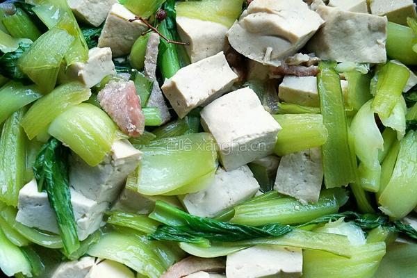 小油菜炖豆腐的做法图解5
