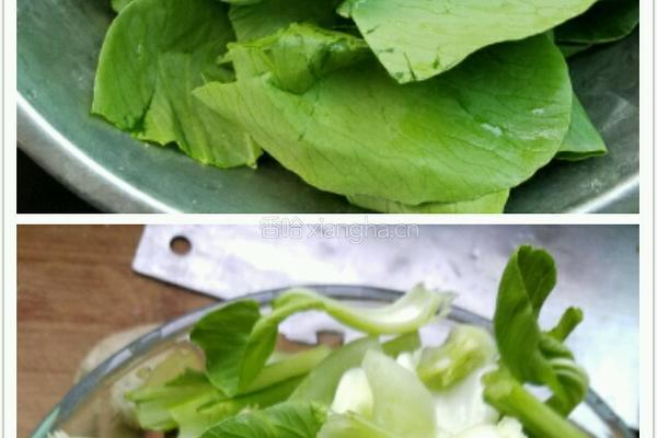 小油菜炖豆腐的做法图解2