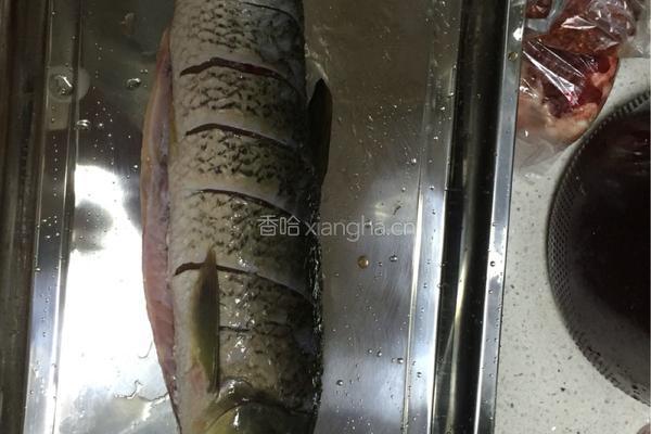 烤鱼的做法图解1