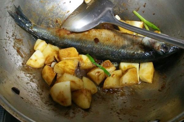 沙丁鱼炖土豆的做法图解9