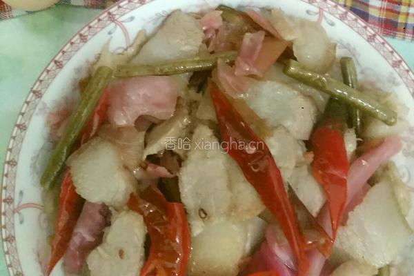 泡菜回锅肉的做法图解8