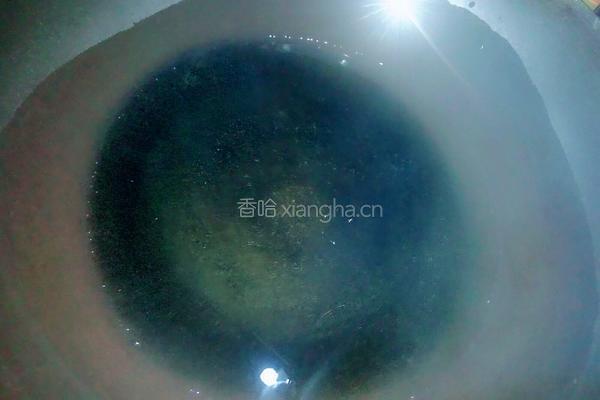 凉拌素三彩的做法图解2