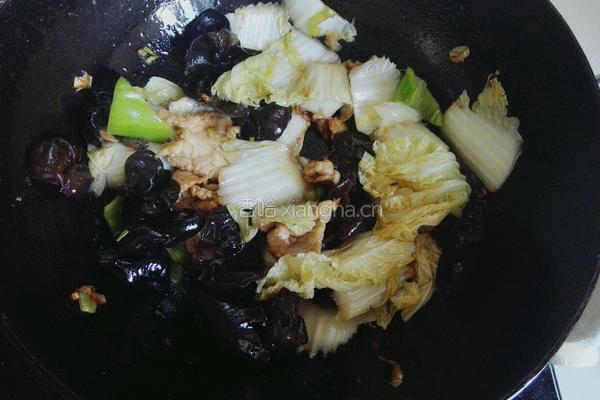 白菜木耳炒肉的做法图解9