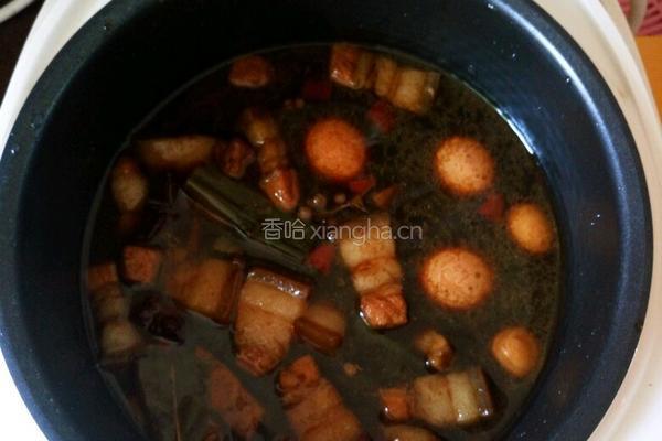 上海红烧肉的做法图解9