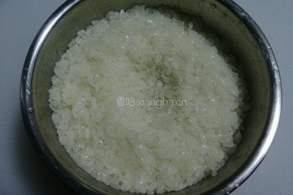 酸奶机做酒酿的做法图解9