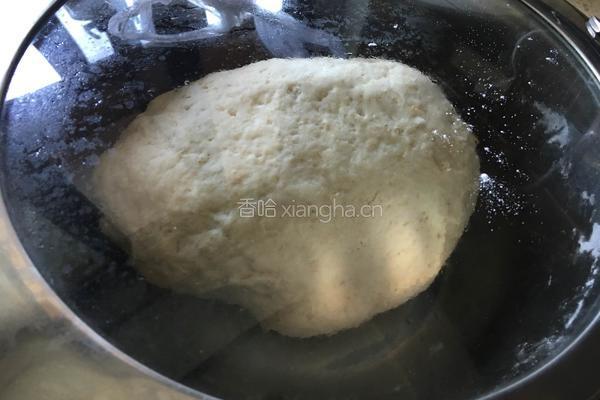 冬瓜猪肉饺子的做法图解1
