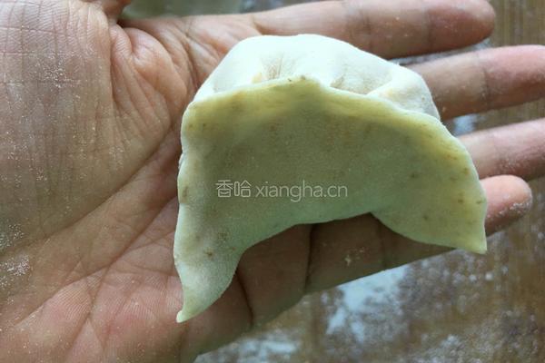 冬瓜馅饺子的做法图解10