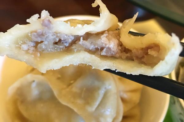 冬瓜猪肉饺子的做法图解11