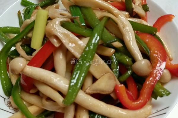 蚝油海鲜菇