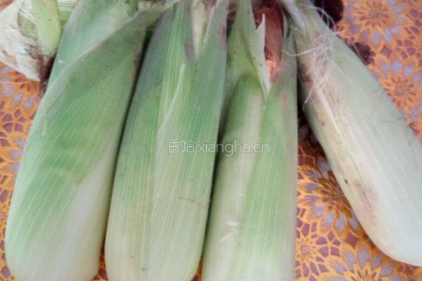 鲜玉米叶饼的做法图解1