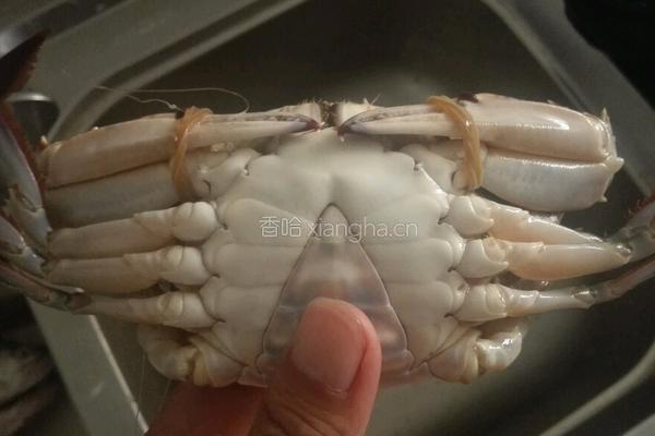 水煮螃蟹的做法图解3