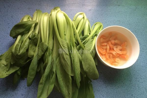 虾米油菜的做法图解1