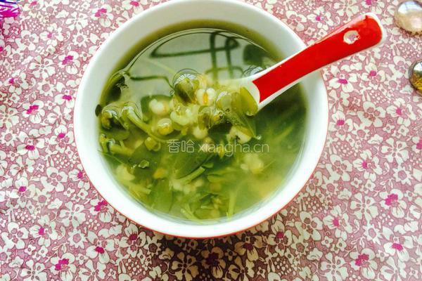 马齿苋绿豆薏仁汤的做法图解7