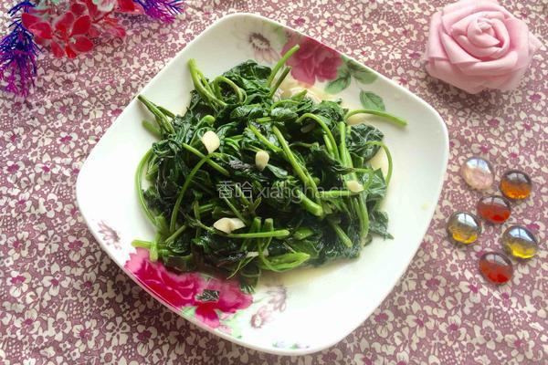 蒜泥红薯苗的做法图解9