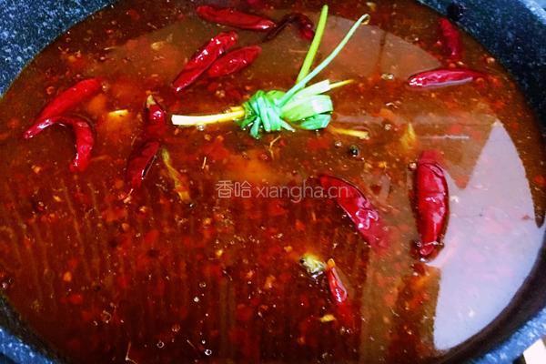 火锅鸡的做法图解8